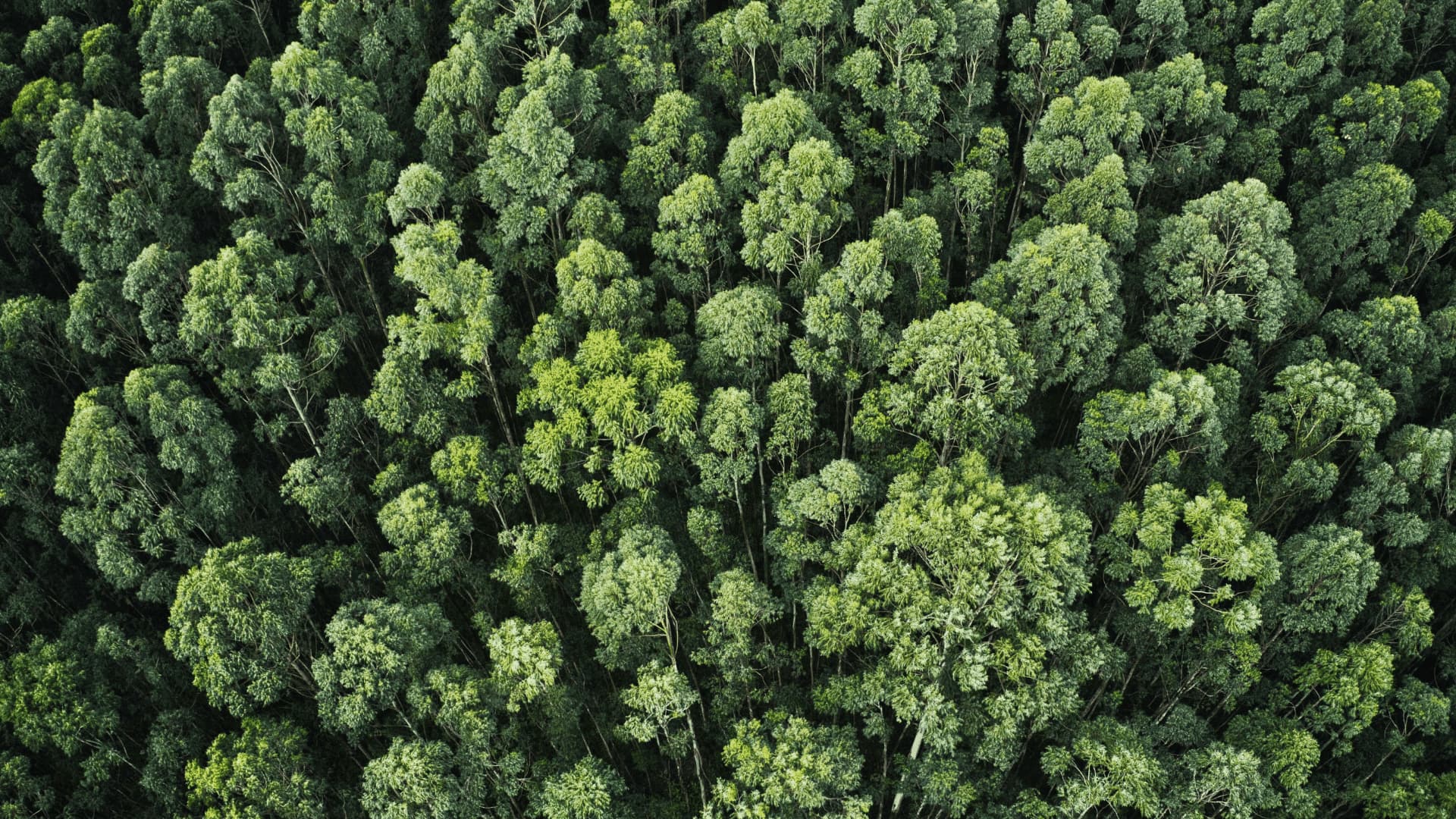 Sostenibilità, governance e ambiente: un’unica scelta vincente per le aziende
