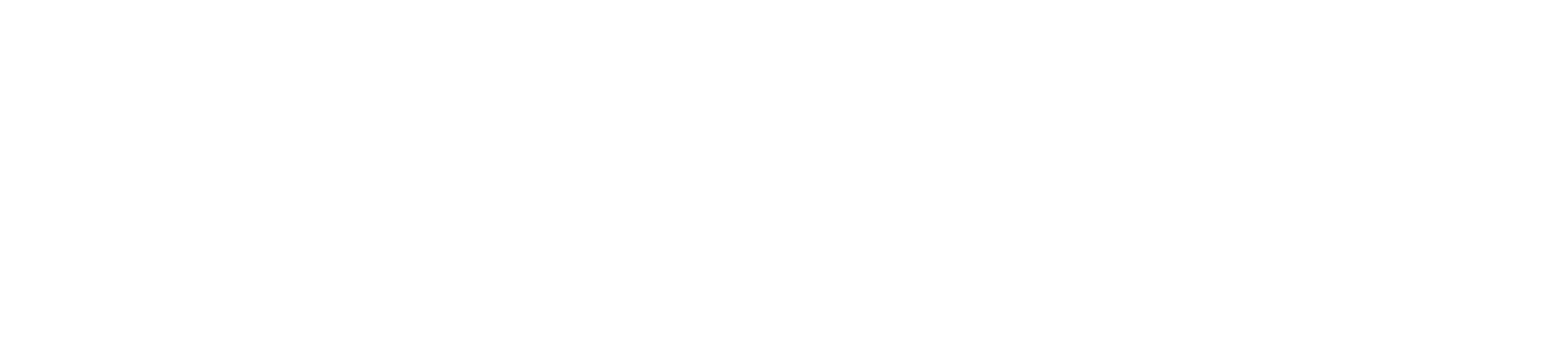 Logo starnet_bianco_white_nobg