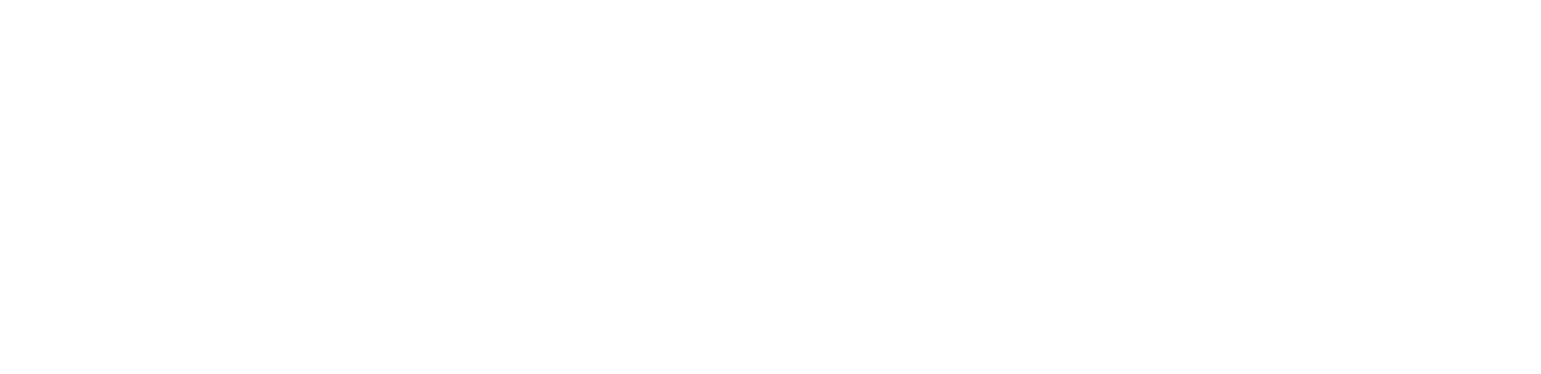 logo STAR4lgoBianco