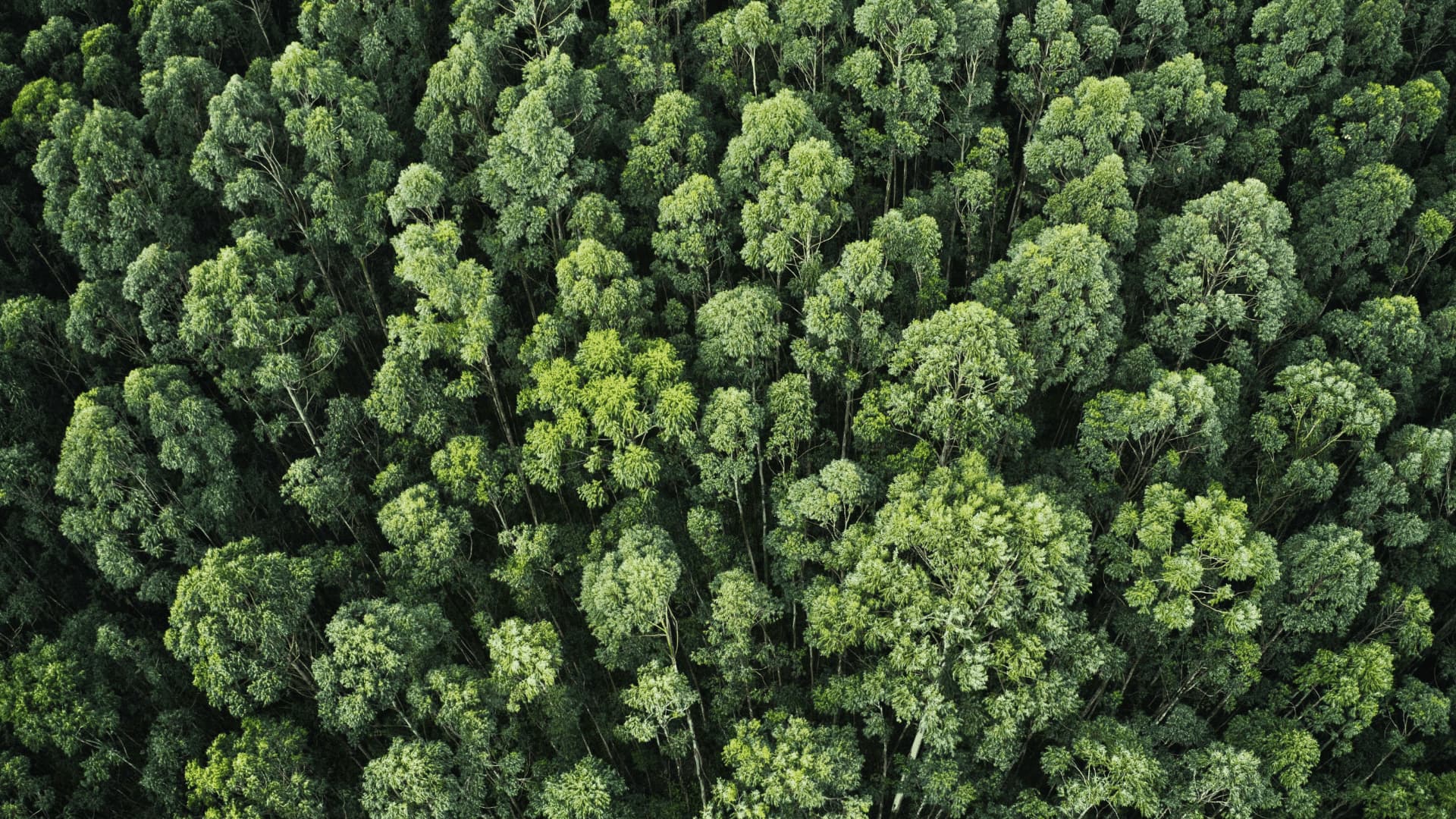 Sostenibilità, governance e ambiente: un’unica scelta vincente per le aziende - Impresoft